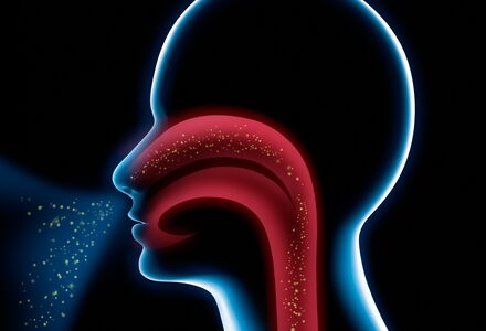 AdobeStock_35796605.