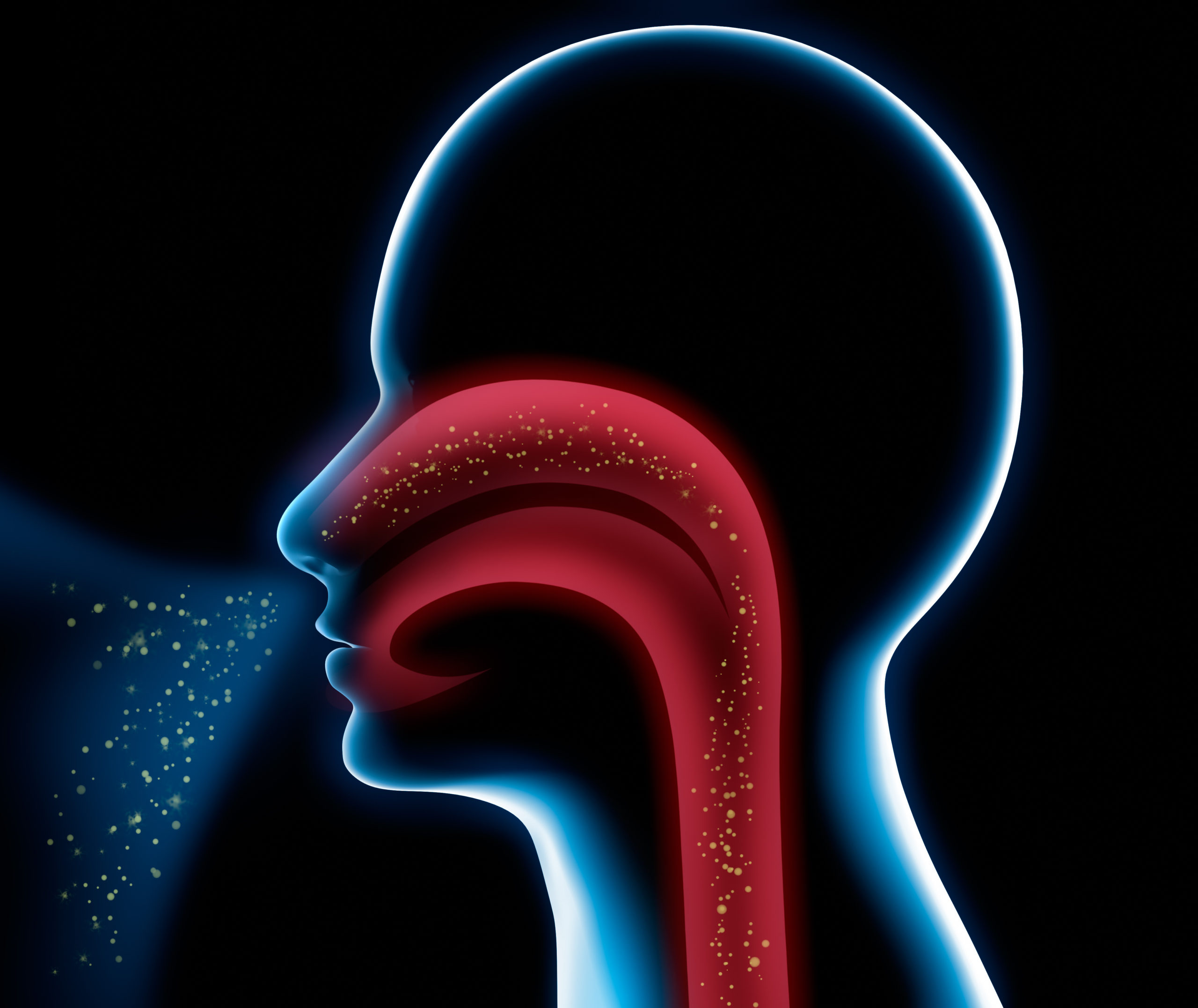 AdobeStock_35796605.